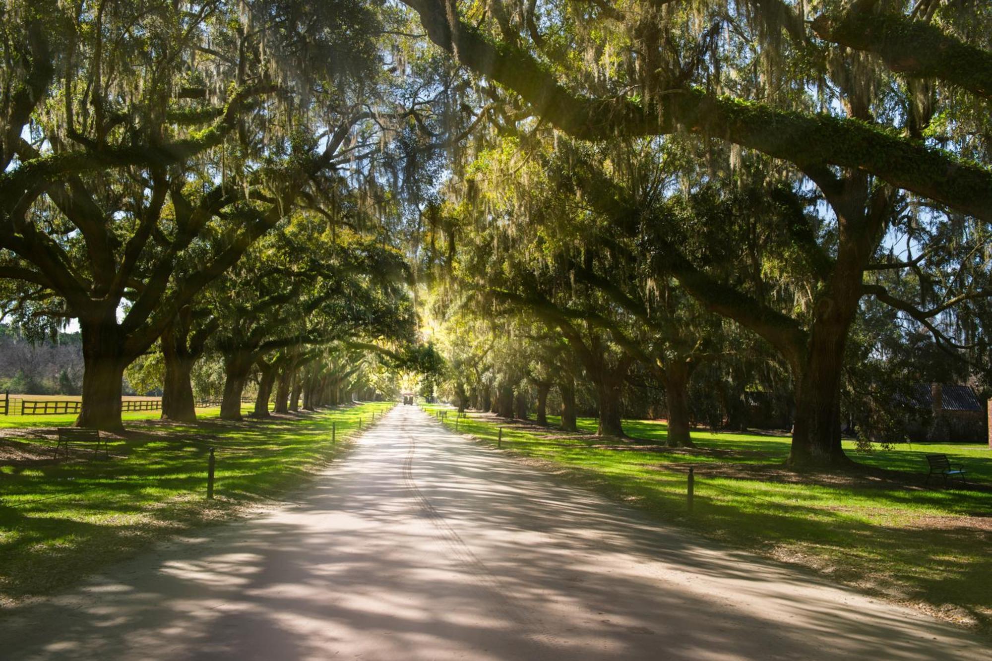 Villa 442 Oceanwoods Kiawah Island Esterno foto